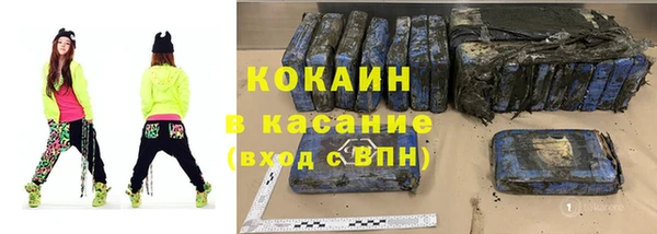 индика Няндома