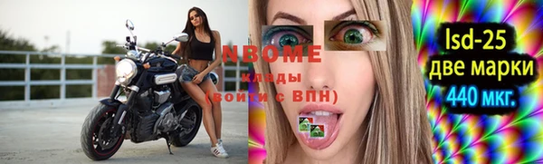 индика Няндома