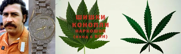 индика Няндома