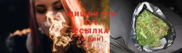 стаф Новодвинск