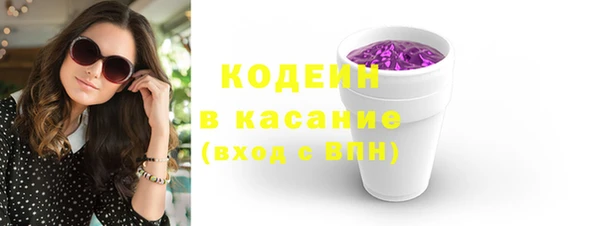 индика Няндома
