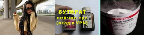 индика Няндома