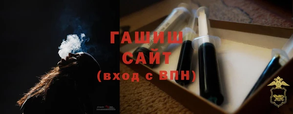 индика Няндома
