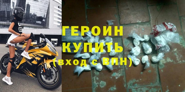 индика Няндома