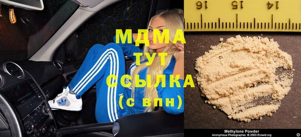 индика Няндома