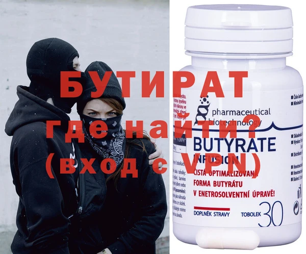 индика Няндома