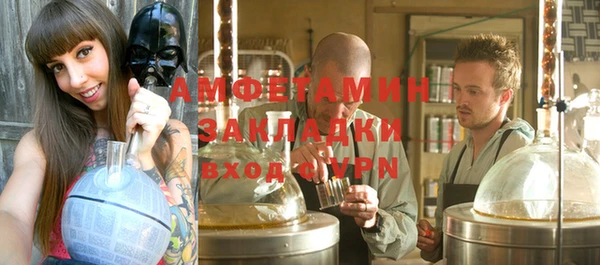 индика Няндома