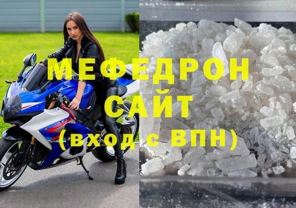 индика Няндома
