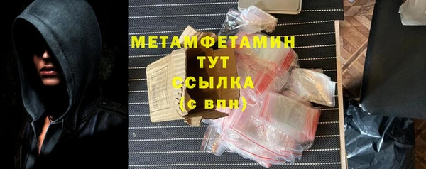 индика Няндома