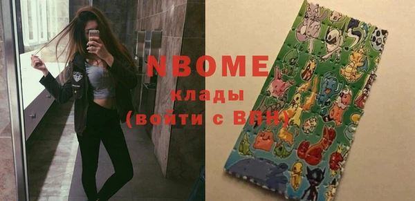 индика Няндома