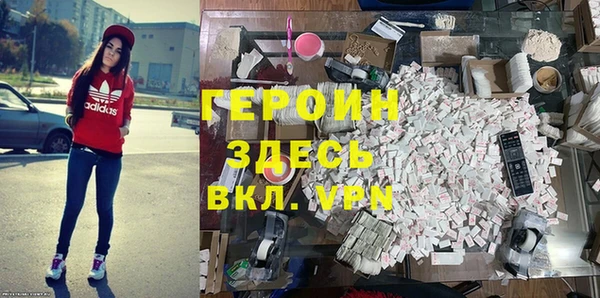 индика Няндома