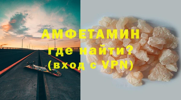 индика Няндома