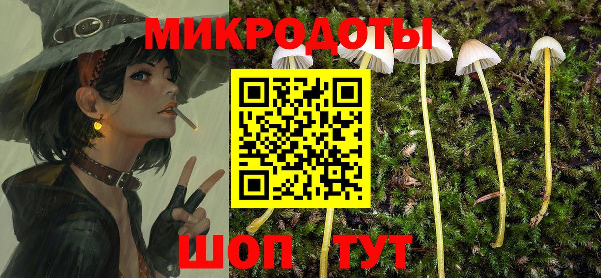 Мирный  где купить наркоту  Вход с VPN  Псилоцибиновые грибы Psilocybe 